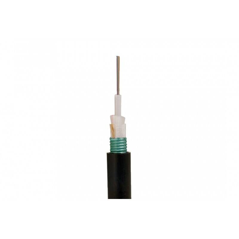 12 Core Single Mod 9/125 Çelik Zırhlı Fiber Optik Kablo (1 metre) 12 Core Single Mod 9/125 Çelik Zırhlı Fiber Optik Kablo (1 metre)