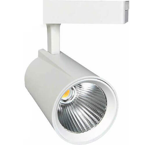 Fuji 30W Ray Spot Beyaz Kasa Günışığı