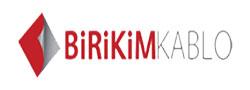 BIRIKIM Logosu