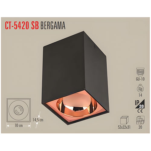 Cata Ct-5420 Bergama Sıva Üstü Armatür (Siyah-Gold) Gu-10